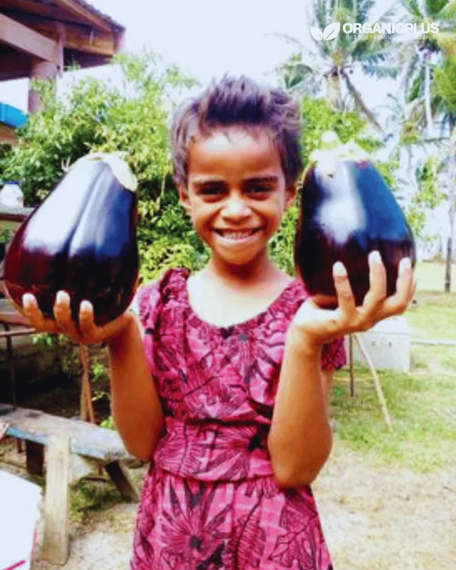 Young farmer holding two large eggplants