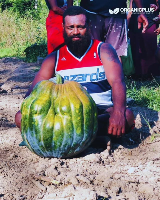 Farmer beside a large pumpkin grown in Fiji
